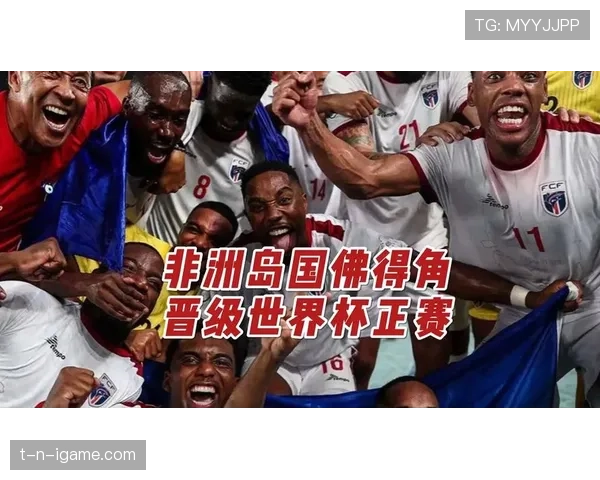 斯洛伐克历史性突破：2010世界杯首次晋级16强表现出色