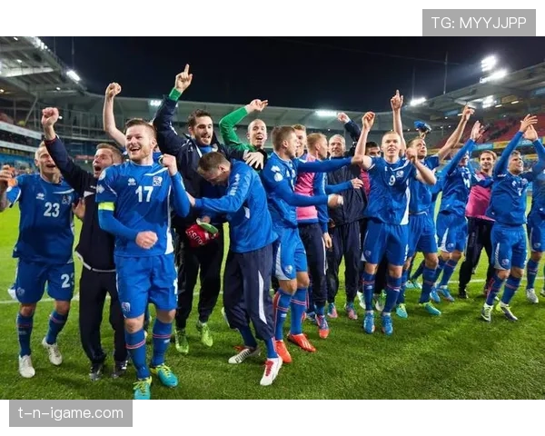 冰岛欧预赛挣扎 冰岛欧预赛挣扎